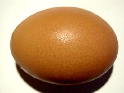 brown egg