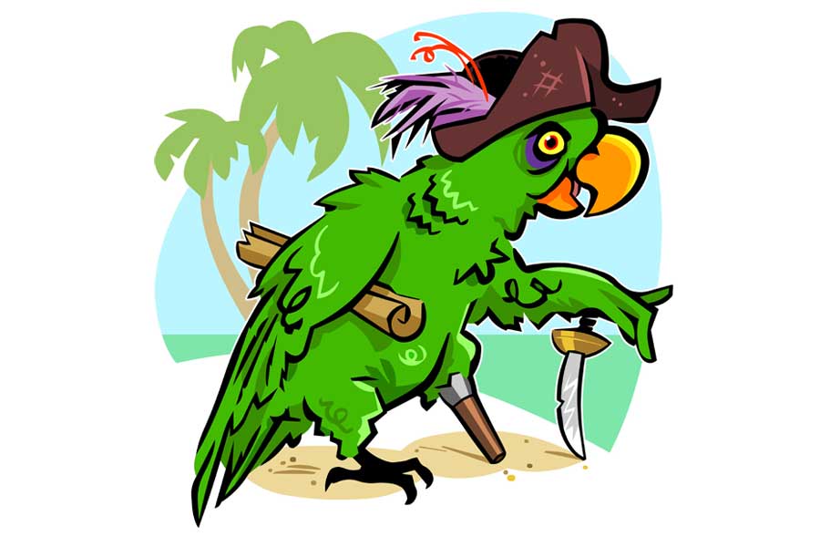 parrot pirate