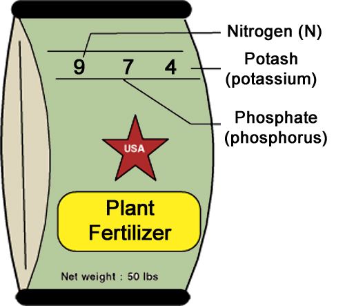 plant fertilizer