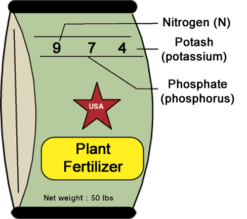plant fertilizer