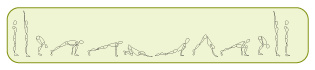 Sun Salutation